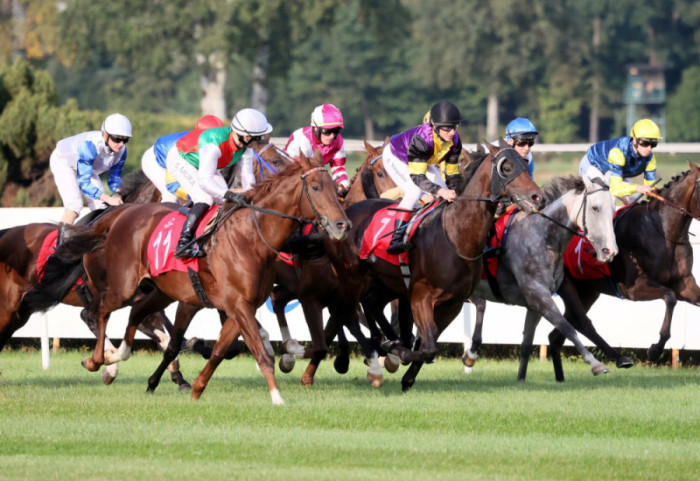 W niedzielę rusza sezon na służewieckim torze w Warszawie. Czeka nas 45 dni wyścigowych