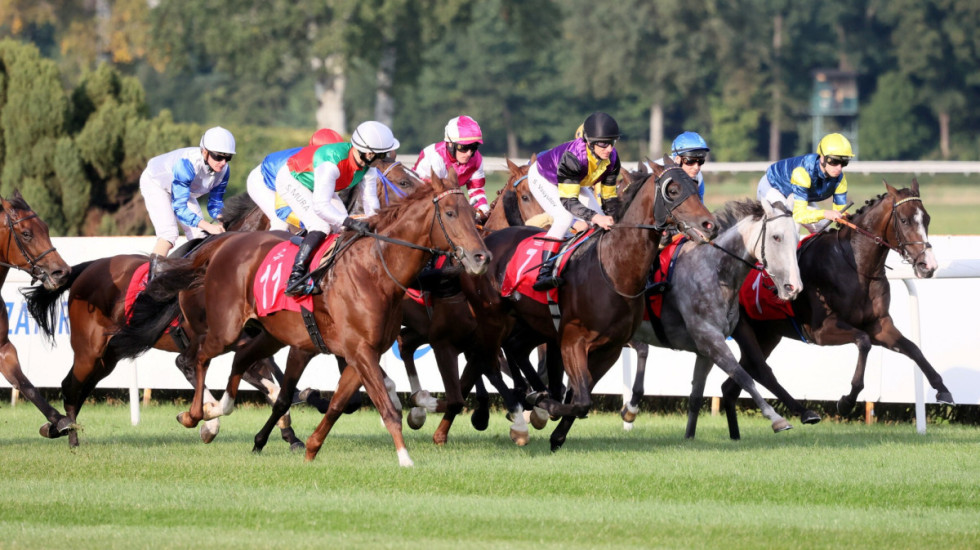 W niedzielę rusza sezon na służewieckim torze w Warszawie. Czeka nas 45 dni wyścigowych