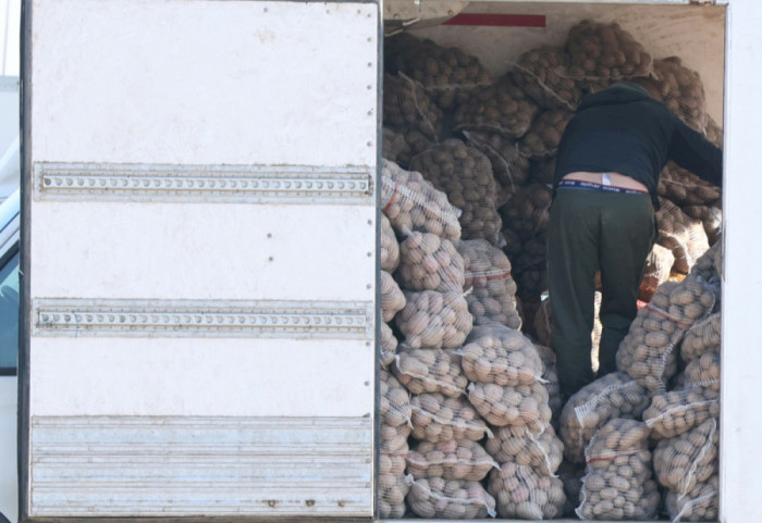 Rolnicy wyjdą na ulicę? Prezes Polskiej Federacji Ziemniaka dla Newsmax Polska o możliwych protestach