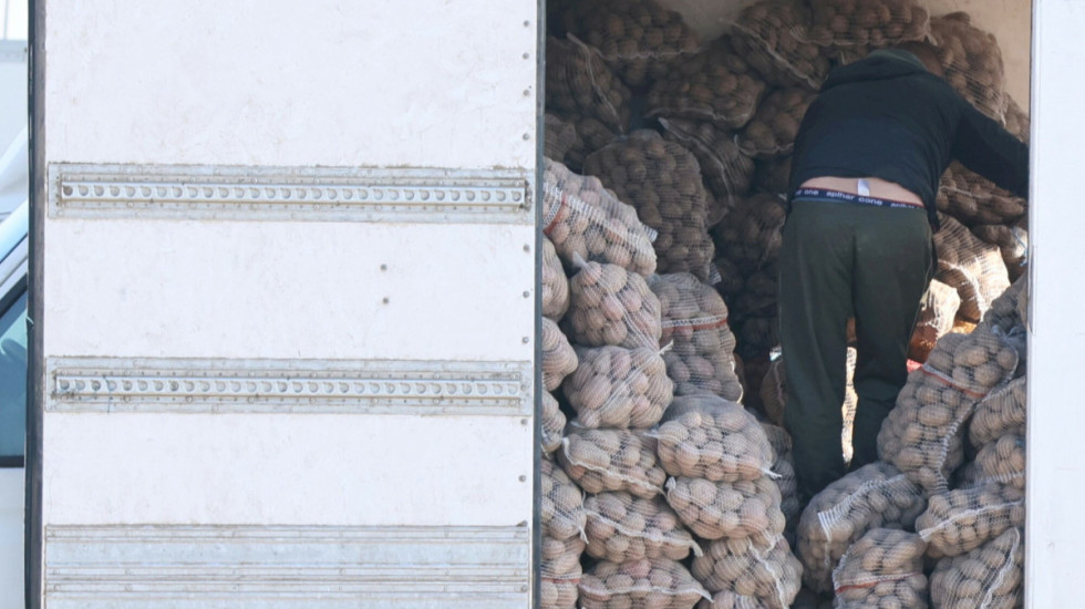 Rolnicy wyjdą na ulicę? Prezes Polskiej Federacji Ziemniaka dla Newsmax Polska o możliwych protestach