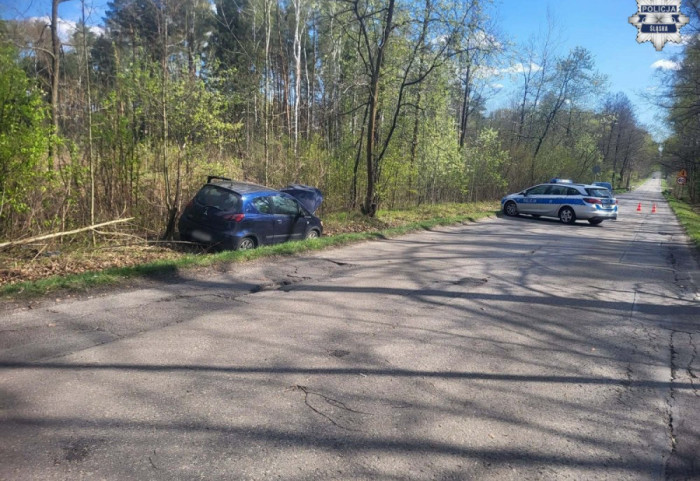 Śmiertelny wypadek posła Litewki. Sprawca przyznał się do winy