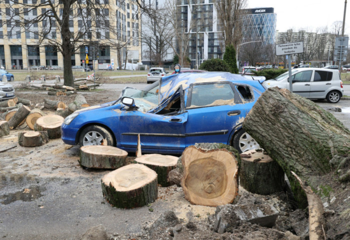 Silny wiatr nad Polską. Prawie 2400 interwencji strażaków