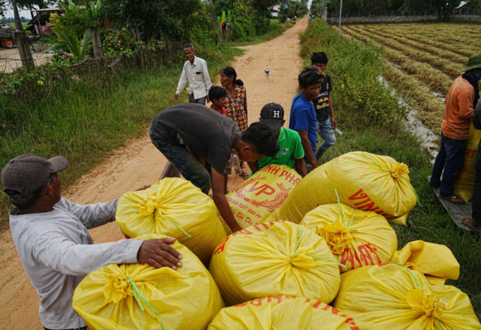 PE przyjął klauzulę dot. ryżu z krajów azjatyckich. UE otwiera się na masowy napływ