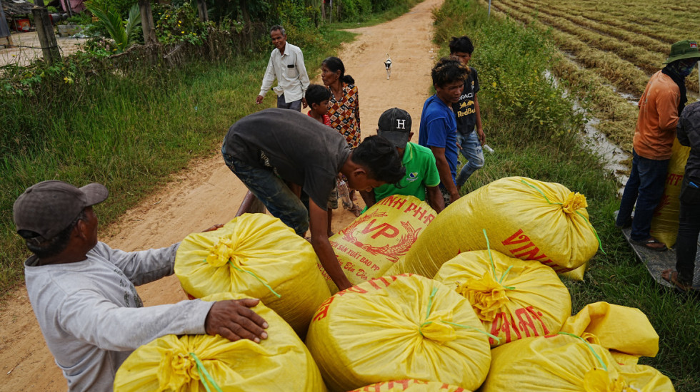 PE przyjął klauzulę dot. ryżu z krajów azjatyckich. UE otwiera się na masowy napływ
