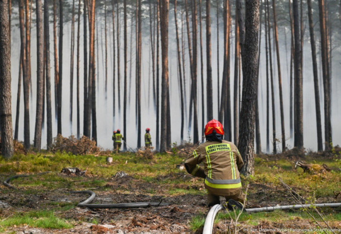 Pożar w Puszczy Solskiej - śmigłowce i samoloty wrócą do akcji w czwartek