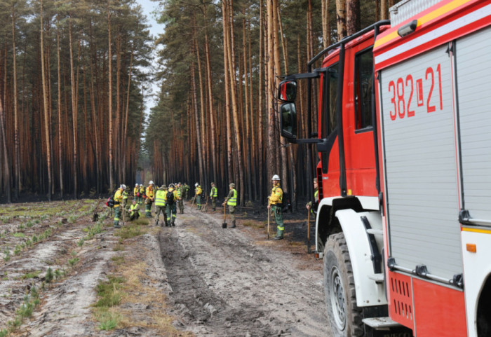 Puszcza Solska: trwa dogaszanie pogorzeliska, w sobotę na miejscu pracowało nadal 500 strażaków